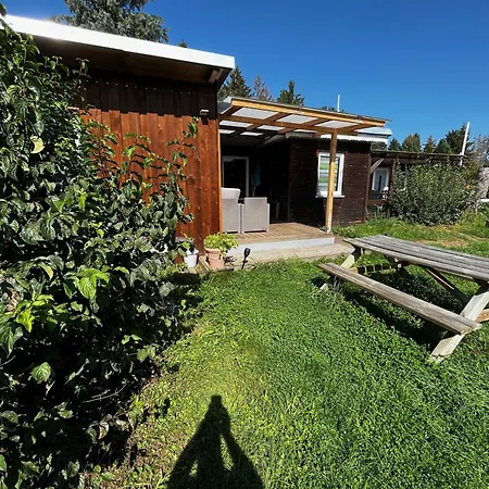 Holiday home Zeulenrodaer Zeulenroda-Triebes