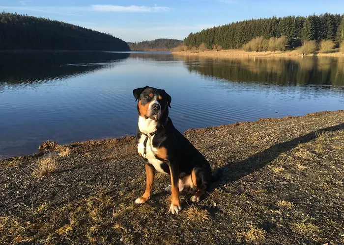 Vakantiehuis Zeulenrodaer *